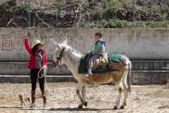 KODAK Digital Still Camera