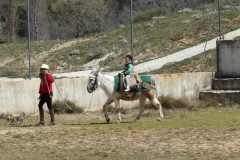 KODAK Digital Still Camera