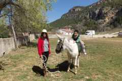 KODAK Digital Still Camera