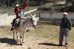 KODAK Digital Still Camera