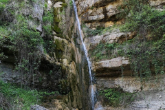 102894515_1645494628930786_6891570962030389266_o