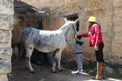 KODAK Digital Still Camera