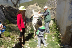 KODAK Digital Still Camera