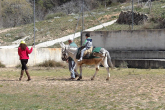 KODAK Digital Still Camera