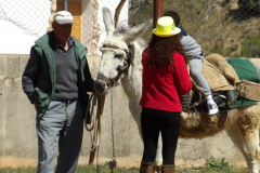 KODAK Digital Still Camera