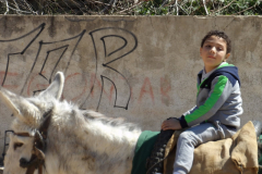 KODAK Digital Still Camera