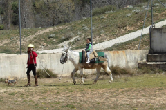 KODAK Digital Still Camera