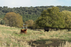 KODAK Digital Still Camera