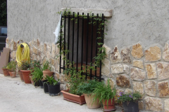 KODAK Digital Still Camera