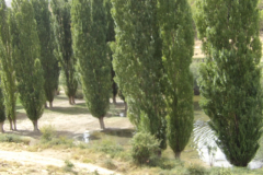 KODAK Digital Still Camera