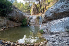 119915042_1738588156288099_2726234455635639778_n