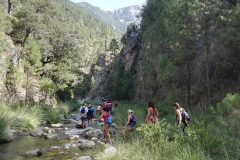 67786297_1358999184247000_418785257257435136_n