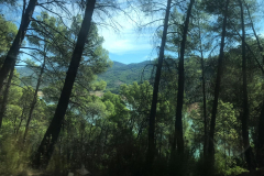 IMG-20200926-WA0017-Copy