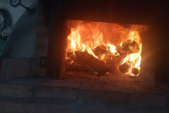 IMG_20220212_094358-Copy