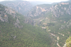 P0009208