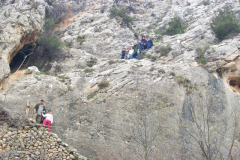 P0009217