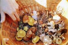 fa14e4cf-920d-4405-b921-d192daaa1e56-Copy